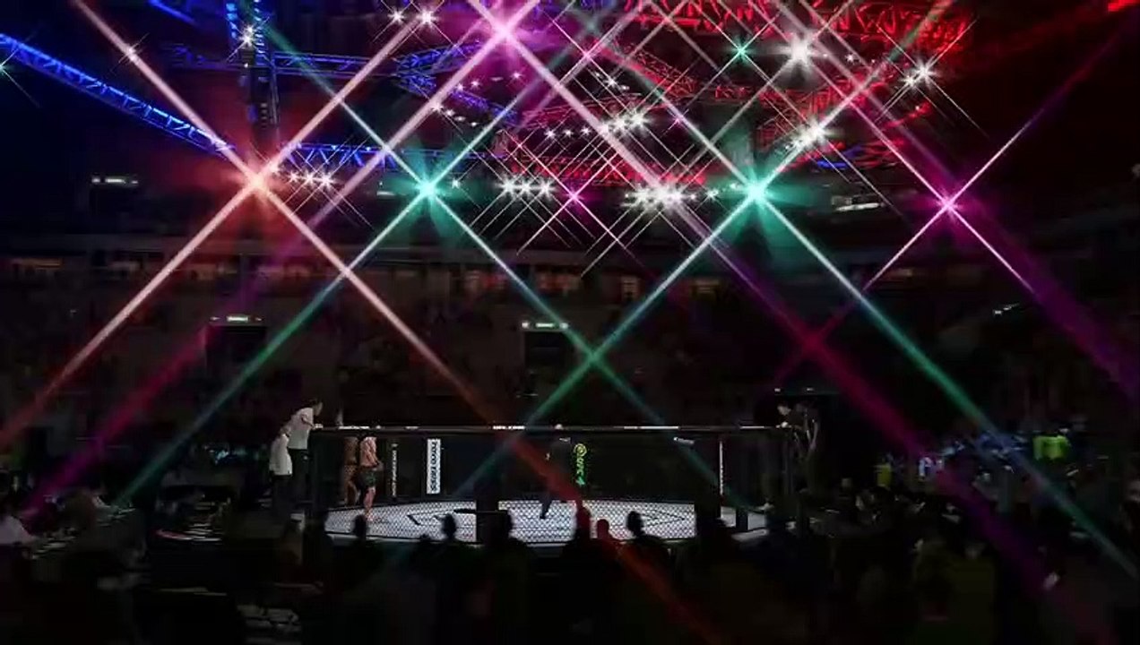 Videoanálisis UFC 4