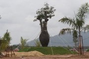 RM180,000 tree causes a stir in Kuala Nerus