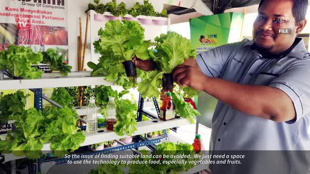 Be urban farmers, city youths urged