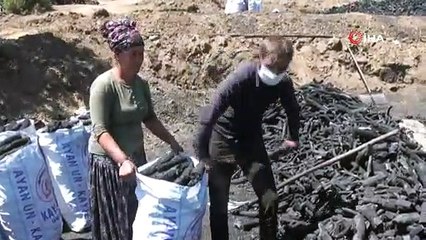Yozgat’ta mevsimlik işçilerin zorlu ‘mangal kömürü’ mesaisi
