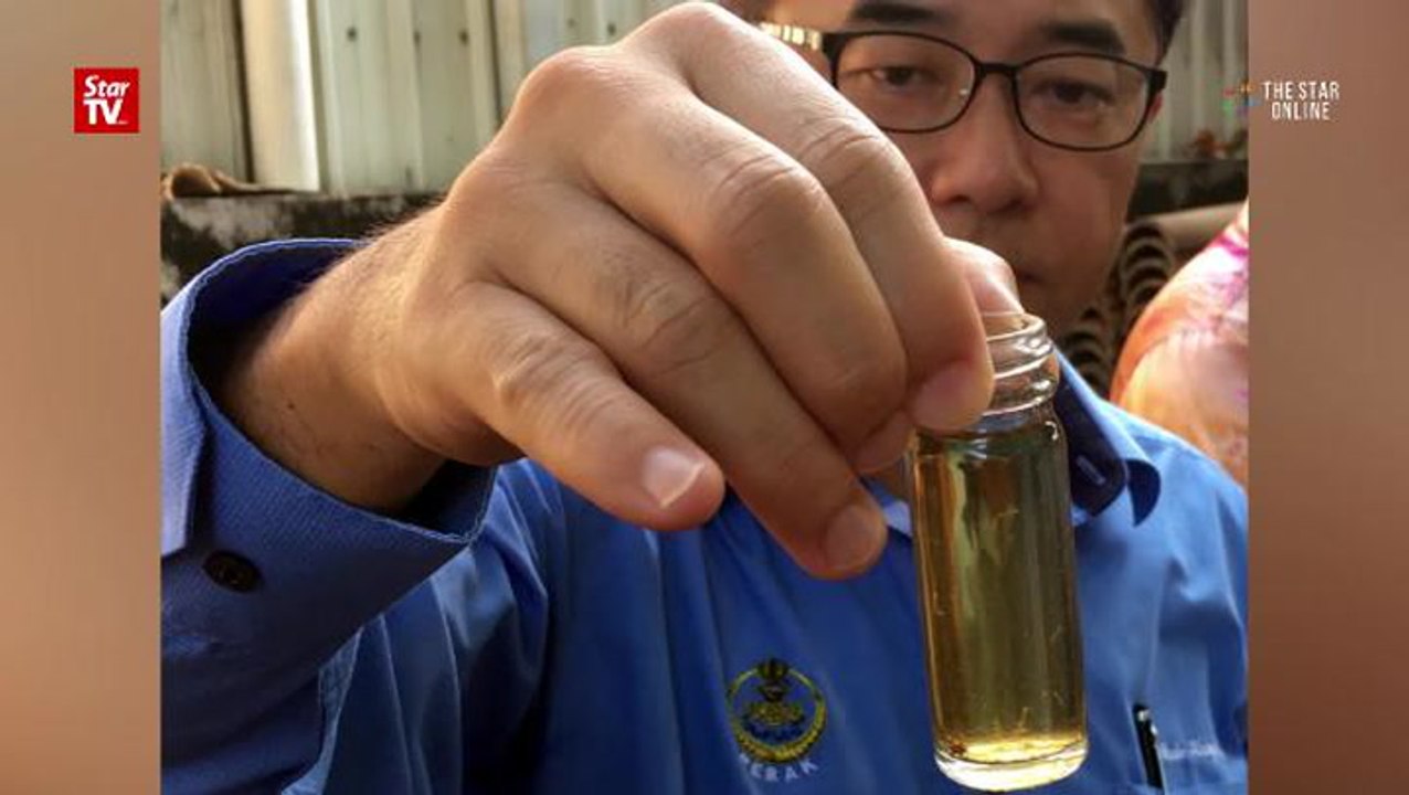 Mosquitoes found breeding at two Ipoh factories