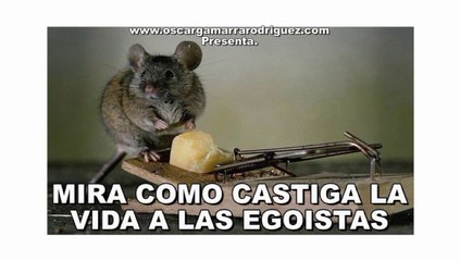 MIRA COMO CASTIGA LA VIDA A LOS EGOISTAS