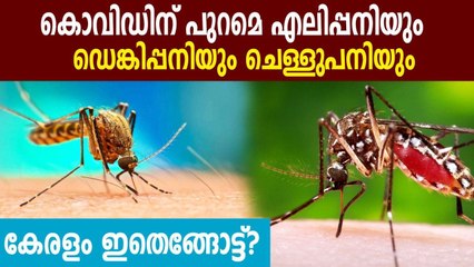 Dengue adds to COVID-19 worries in Kerala | Oneindia Malayalam