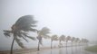 Irma regains strength as Category 5 hurricane