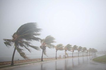 Irma regains strength as Category 5 hurricane
