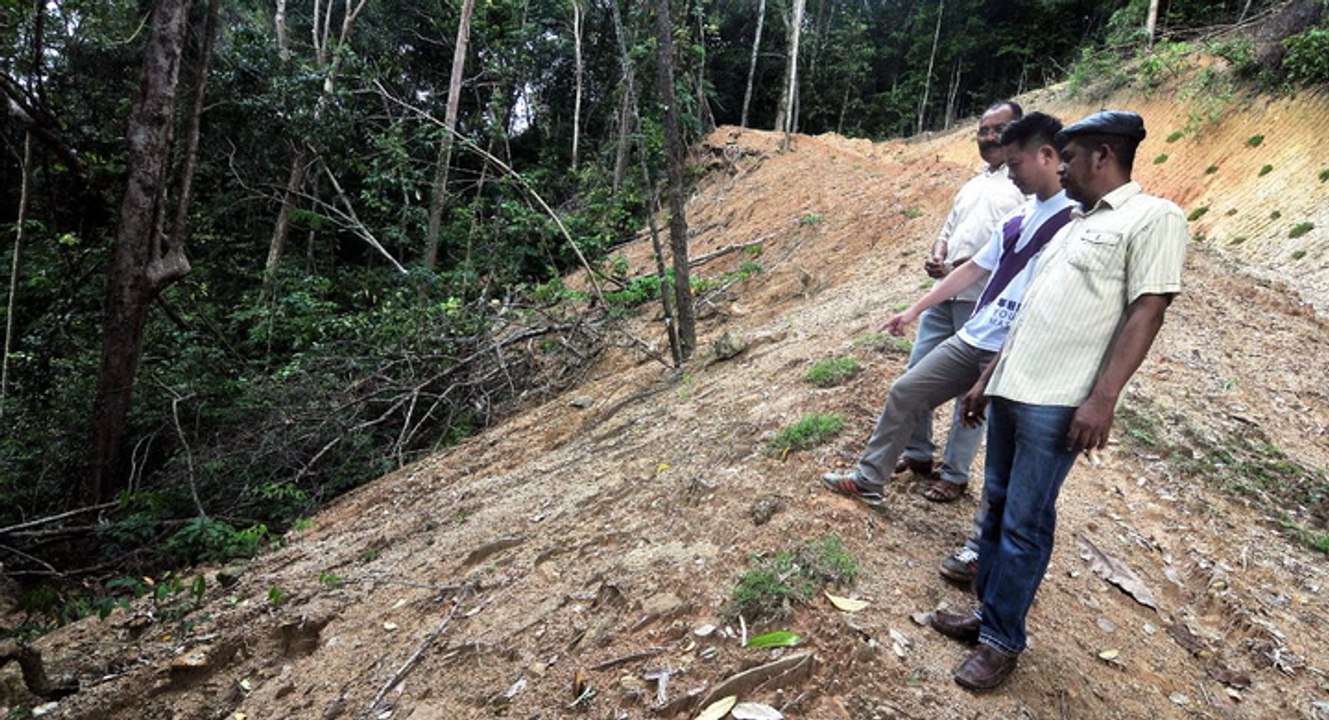 Authorities urged to step up hill slope enforcement