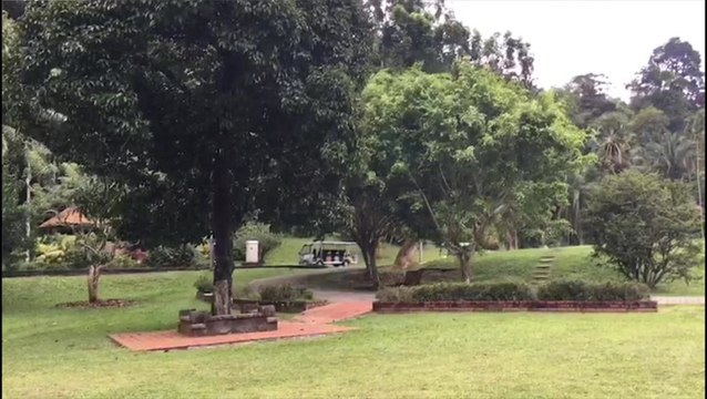 Penang to cooperate with Singapore to manage botanic gardens