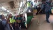 Snake on a train: man grabs and kills snake on Jakarta train