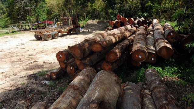 Logging activities is one of factors for Changlun’s flash floods