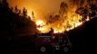 Dozens killed in central Portugal forest fires