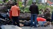 Man who crashed into uprooted tree near KLCC, dies