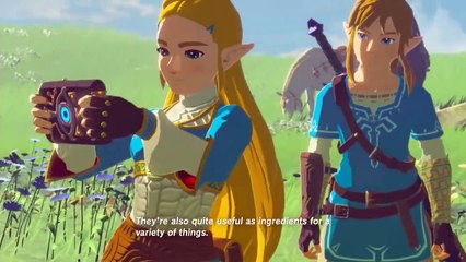 Breath of the Wild How Zelda's LOVE Conquered the Calamity