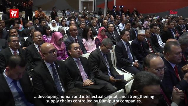 Najib calls for wider bumiputra economic policies