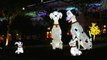 Dog lanterns take centre stage at temple's CNY festival