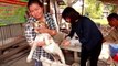 [NTV 130318] Risk areas announced in Thailand over spreads of rabies