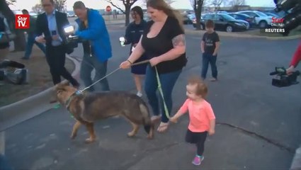 Airline apologises after latest pet blunder