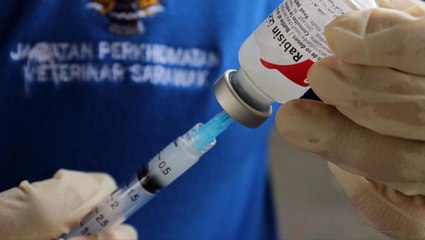 Rabies vaccination for all dogs throughout Sarawak