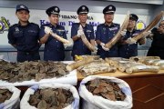 Customs seize ivory tusks, pangolin scales at KLIA cargo warehouse