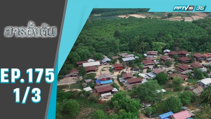 สารตั้งต้น ตอน “ลัก.ซ่อน.เด็ก.สูญ.” (1/3)