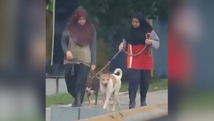 PAWS: Malay girls are first year veterinary students