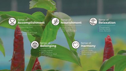 Experience Full Sensory Bliss at Sensa Residence 🌟