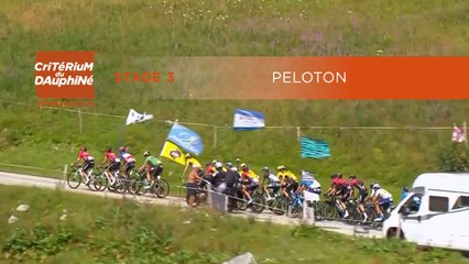 Critérium du Dauphiné 2020 - Étape 3 / Stage 3 - Peloton