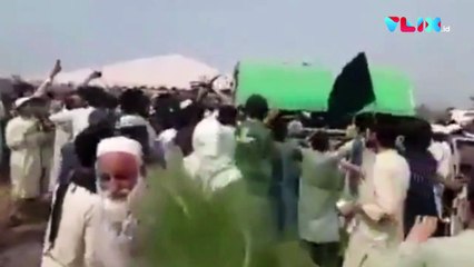 Viral Muslim Pakistan Cabut Paksa Pohon, Cek Faktanya!