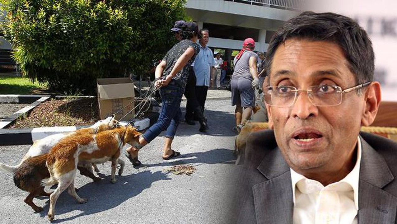 Subra: Rabies outbreak under control in Serian
