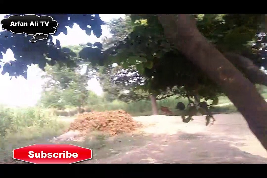 Darbar Hazrat Baba Sodagar حضرت بابا سوداگر,by Arfan Ali TV