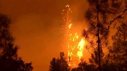 下载视频: California wildfire doubles in size as thousands flee