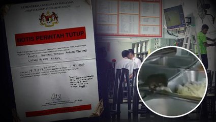 Rat helps itself at hospital cafeteria's self-service buffet