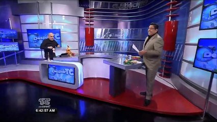 Seis personas detenidas tras la desarticulación de una banda delictiva en El Empalme