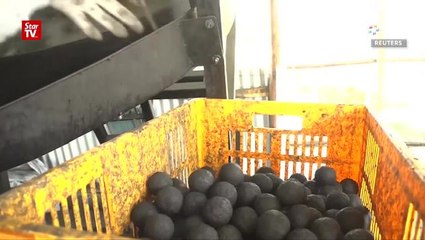 Human waste becomes fuel for Kenya's poor