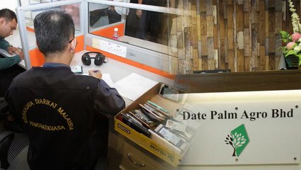 SSM raids date palm investment company