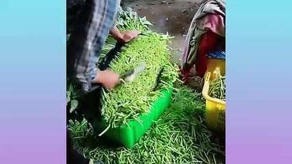 Oddly Satisfying Video that Help You Calm and Relax ▶18