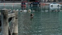 Selangor coastal areas experience high tide but under control