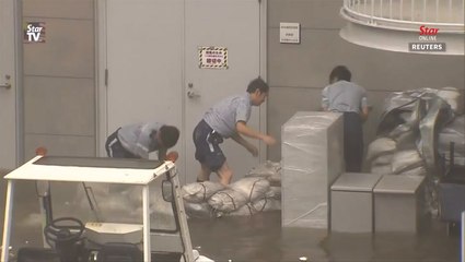 Typhoon Jebi: Death toll rises