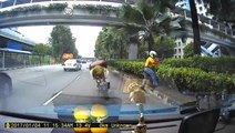 Motorcyclist rescues injured bird on the road