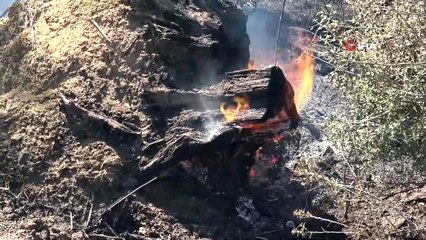 Kurşunlu köyündeki yangın kontrol altında