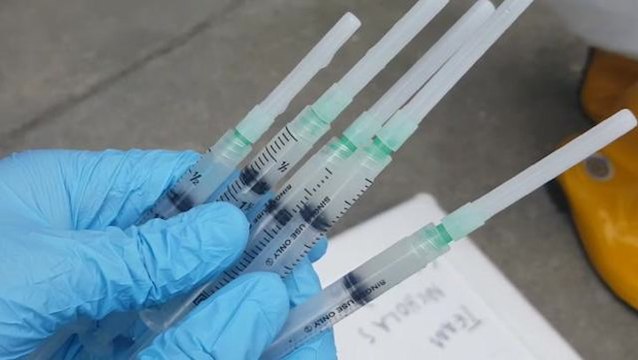 Sarawak authorities contain rabies outbreak swiftly