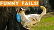 TRY NOT to LAUGH Animals FUNNY PET FAILS Compilation  2018 _ Epic Pet Videos & Moments