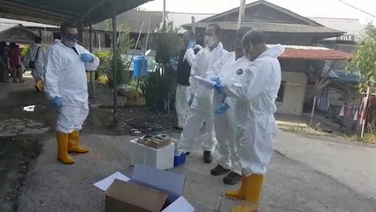 Subra: Health Ministry fully prepared to handle any rabies outbreak