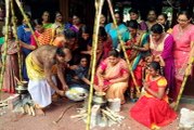 Give thanks during the Ponggal festival