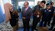 Customs Dept rescues 435 exotic animals from traffickers