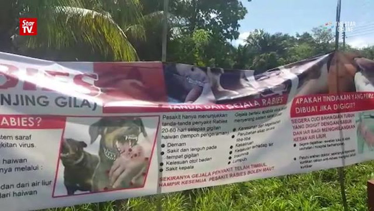 Serian rabies outbreak worries local residents