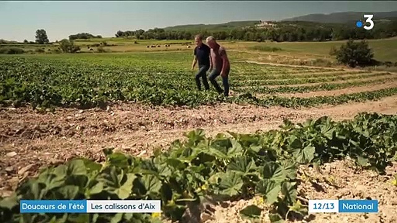 Provence : à Aix, les calissons ont toujours la cote