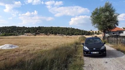 Muğla'da ölü 'karakulak' bulundu