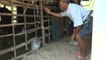 [NTV 170518] Lottery-winning farmer still lives humble life after winning big jackpot