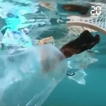 Environnement: La pollution plastique des océans devrait tripler d'ici 2040