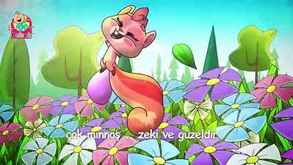 Minnoş Sincap - Türkçe